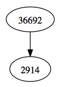 Graphic representation of an entry of the BGP table.